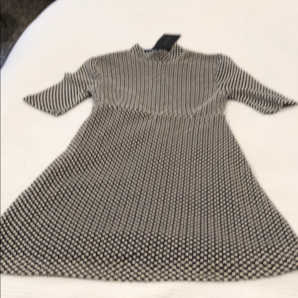 Zara Knit Dress
